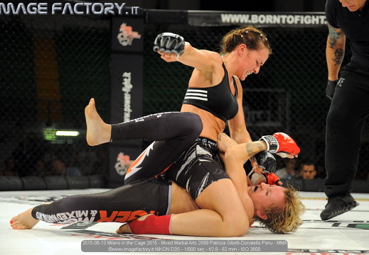 2015-06-13 Milano in the Cage 2015 - Mixed Martial Arts